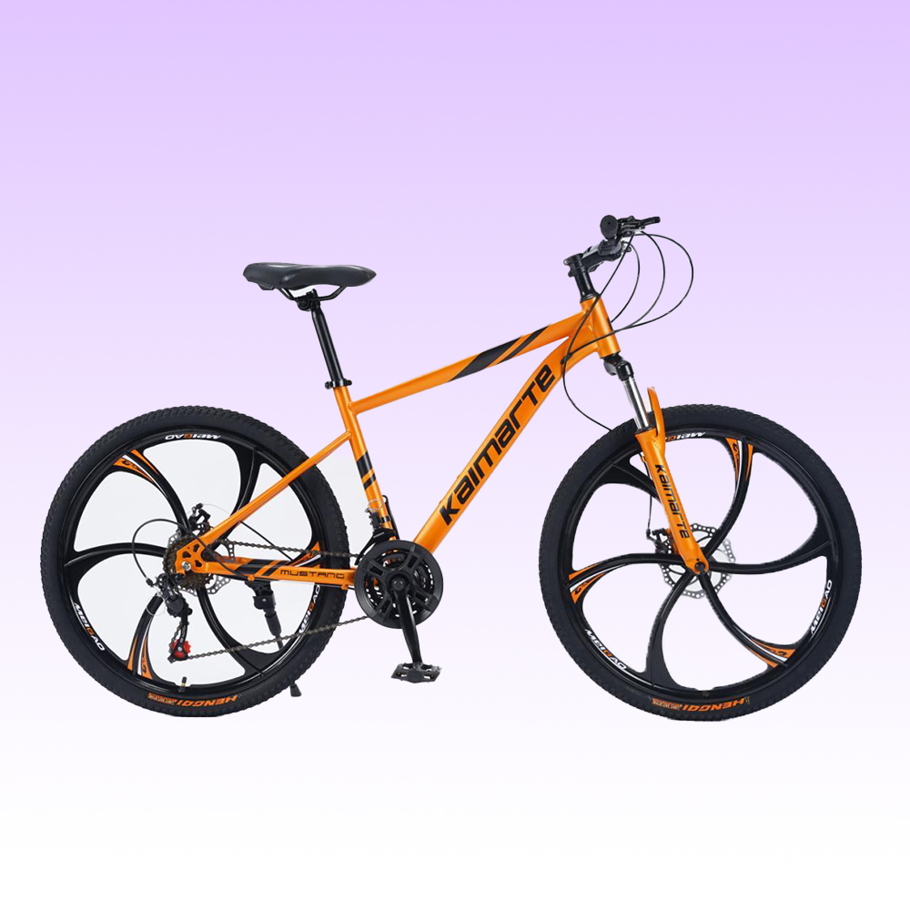 Bicicleta de Montaña OEM Perso - Mountain Biking Europe reseña y precio