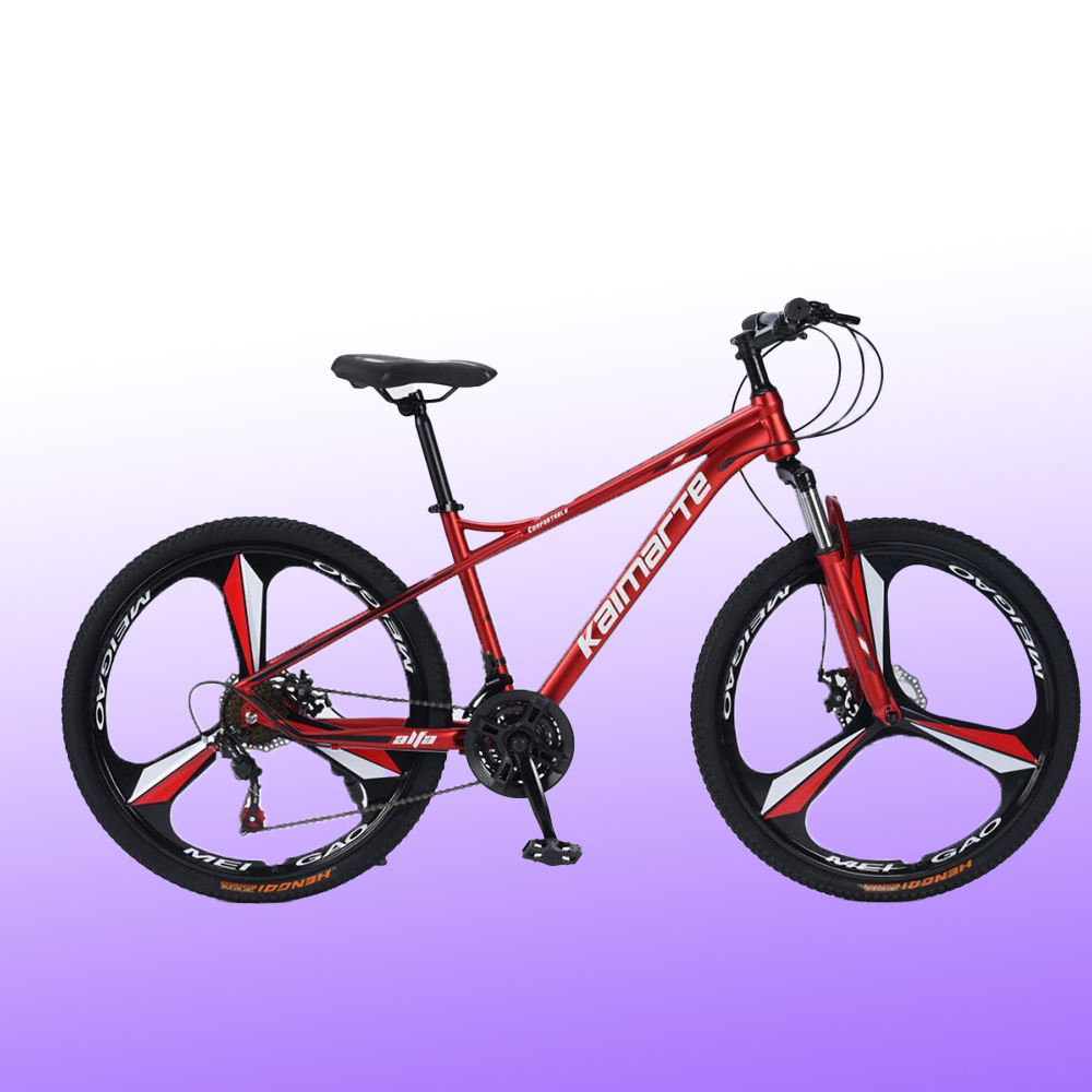 Bicicleta de Montaña OEM Perso - Mountain Biking Europe reseña y precio